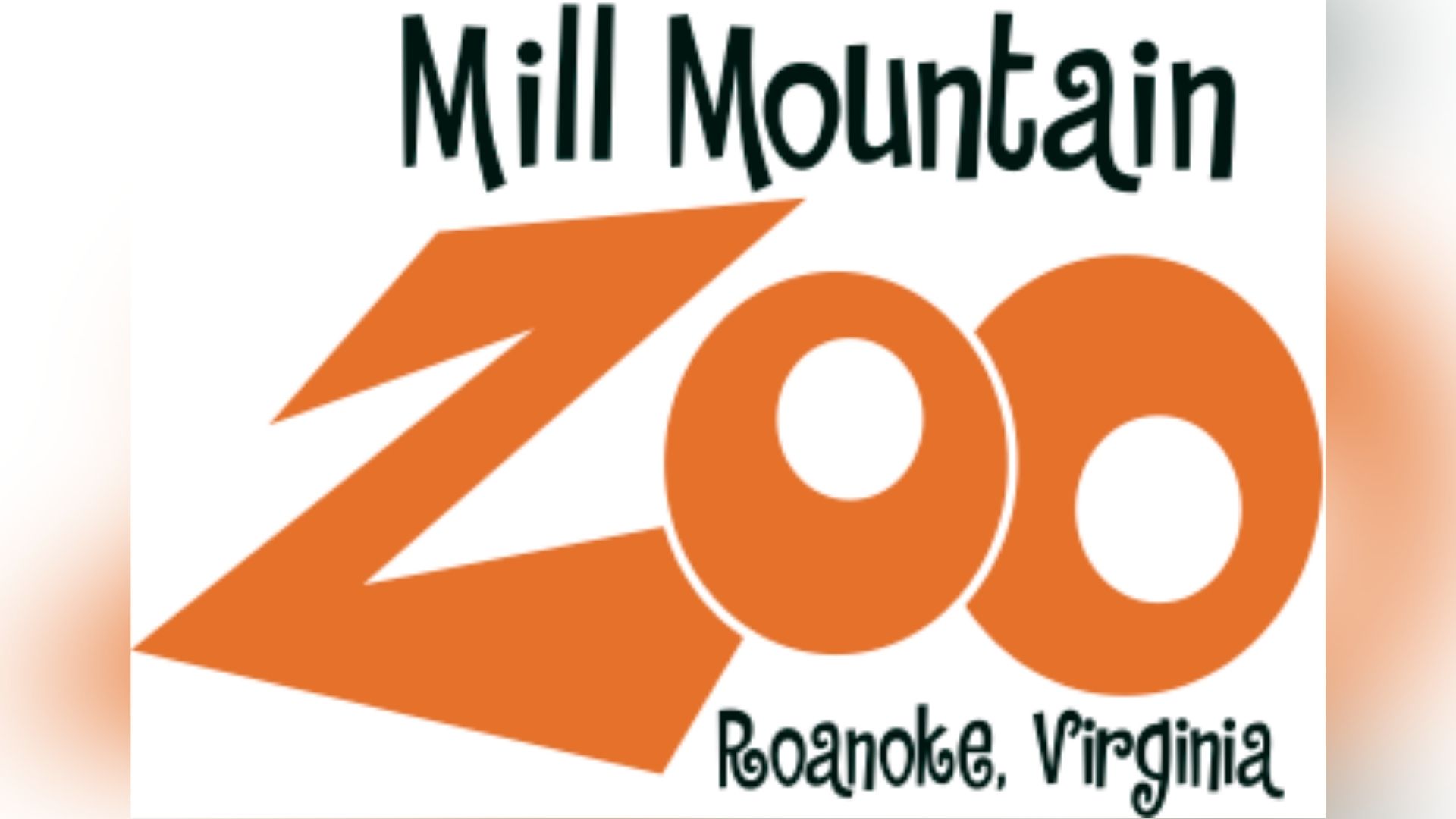 Summer camp hosted by Mill Mountain Zoo